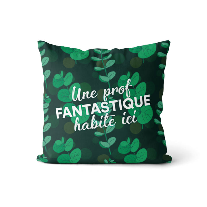 Coussin Une prof Fantastique (v.f) - Eucalyptus