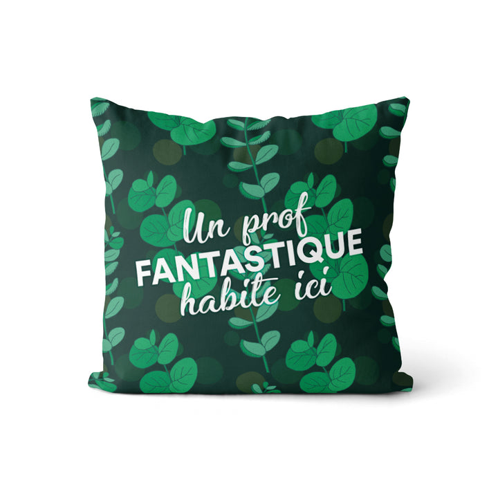 Coussin Un prof Fantastique (v.m) - Eucalyptus