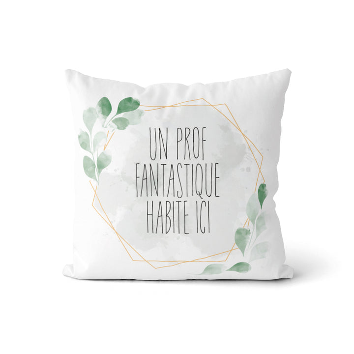 Coussin Un prof Fantastique (v.m) - Hexagone